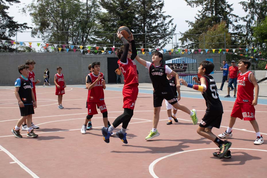 Ir a la Siguiente Foto