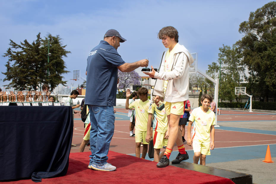Ir a la Siguiente Foto