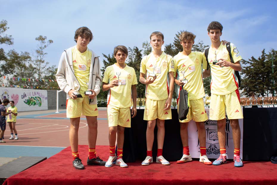 Ir a la Siguiente Foto