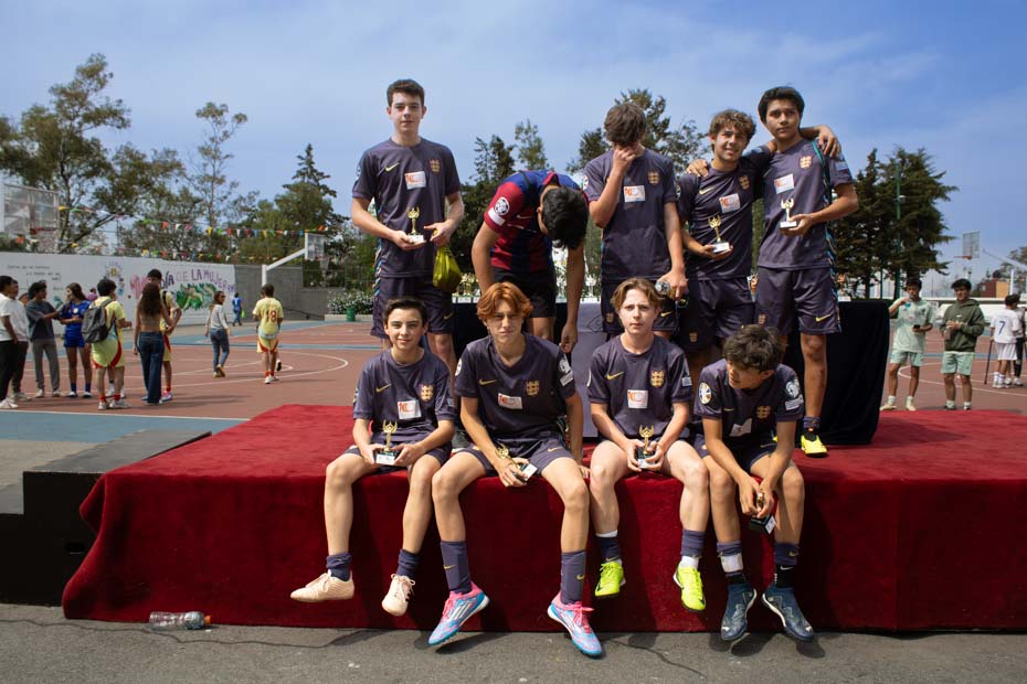 Ir a la Siguiente Foto