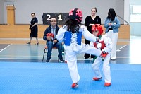22032025mundialito2025_tae_kwon_do10.jpg