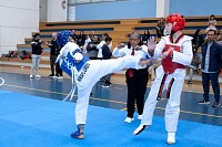 22032025mundialito2025_tae_kwon_do111.jpg