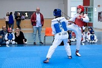 22032025mundialito2025_tae_kwon_do113.jpg