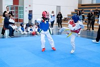 22032025mundialito2025_tae_kwon_do119.jpg