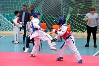22032025mundialito2025_tae_kwon_do125.jpg