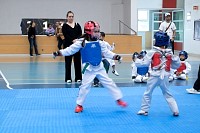 22032025mundialito2025_tae_kwon_do131.jpg