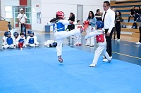 22032025mundialito2025_tae_kwon_do132.jpg