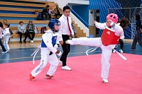 22032025mundialito2025_tae_kwon_do14.jpg