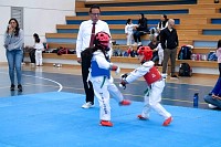 22032025mundialito2025_tae_kwon_do16.jpg