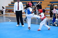 22032025mundialito2025_tae_kwon_do17.jpg