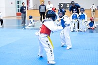 22032025mundialito2025_tae_kwon_do195.jpg