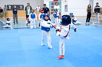 22032025mundialito2025_tae_kwon_do222.jpg