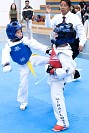 22032025mundialito2025_tae_kwon_do223.jpg