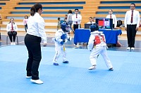 22032025mundialito2025_tae_kwon_do224.jpg