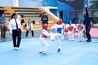 22032025mundialito2025_tae_kwon_do227.jpg
