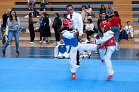 22032025mundialito2025_tae_kwon_do22.jpg