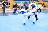 22032025mundialito2025_tae_kwon_do230.jpg