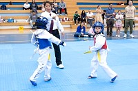 22032025mundialito2025_tae_kwon_do232.jpg
