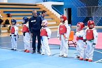 22032025mundialito2025_tae_kwon_do244.jpg