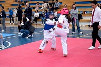 22032025mundialito2025_tae_kwon_do24.jpg