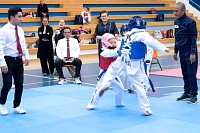 22032025mundialito2025_tae_kwon_do255.jpg