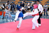 22032025mundialito2025_tae_kwon_do26.jpg