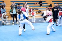 22032025mundialito2025_tae_kwon_do280.jpg
