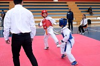 22032025mundialito2025_tae_kwon_do3.jpg