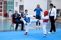 22032025mundialito2025_tae_kwon_do41.jpg