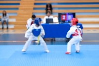 22032025mundialito2025_tae_kwon_do60.jpg