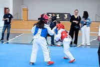 22032025mundialito2025_tae_kwon_do9.jpg
