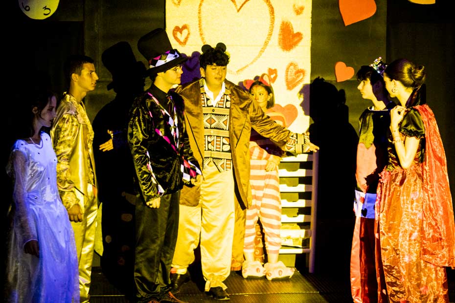 Ir a la Siguiente Foto