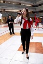 11112024partidos_politicos202416.jpg