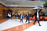 11112024partidos_politicos2024264.jpg