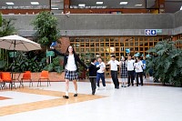 11112024partidos_politicos2024267.jpg