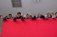11112024partidos_politicos202442.jpg