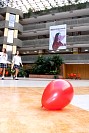 11112024partidos_politicos202460.jpg