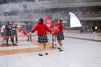 11112024partidos_politicos20248.jpg