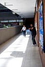 15112024partidos_politicos2024633.jpg