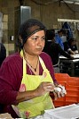 16112024polvorones2024103.jpg