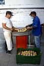 16112024polvorones2024121.jpg