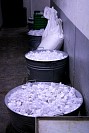 16112024polvorones2024129.jpg