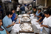 16112024polvorones2024164.jpg