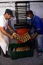16112024polvorones2024172.jpg