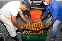 16112024polvorones2024174.jpg
