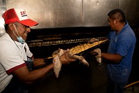 16112024polvorones2024188.jpg