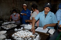16112024polvorones2024259.jpg