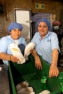 16112024polvorones2024298.jpg