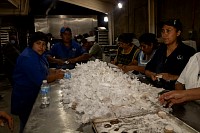 16112024polvorones2024321.jpg