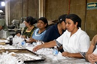 16112024polvorones202432.jpg